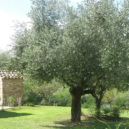 Holiday home Girasole Monteleone di Fermo